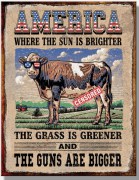 america